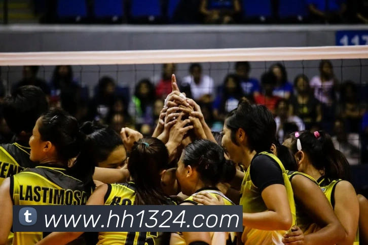 火狐体育官网首页服务体系